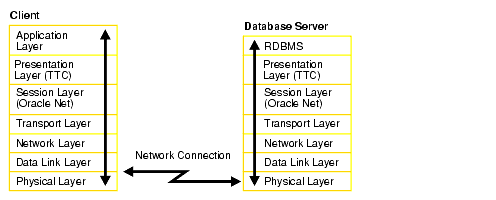 Description of net81100.gif is in surrounding text