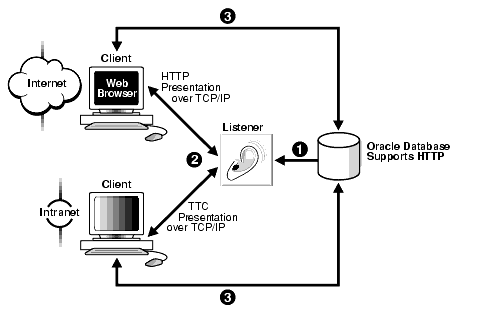 Description of net81108.gif is in surrounding text