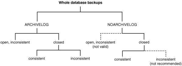 Description of cncpt195.gif follows