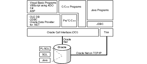 Description of nlspg024.gif follows