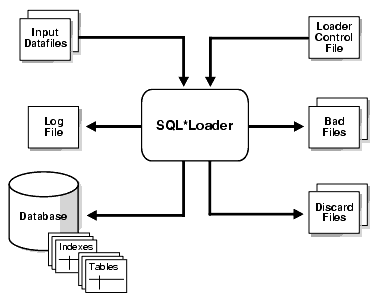 Description of sut81088.gif follows