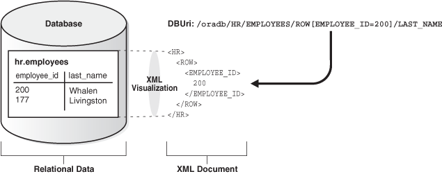 Description of Figure 19-1 follows