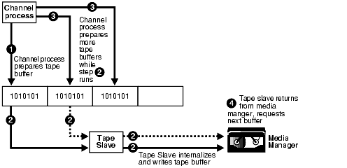 Description of bradv012.gif follows