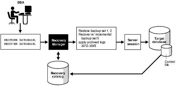 Description of bradv035.gif follows