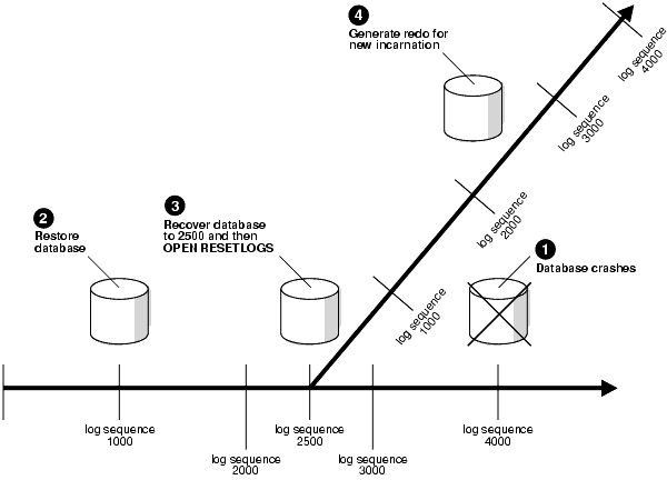 Description of bradv036.gif follows