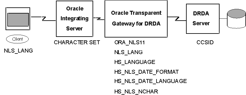 Description of nls_01.gif follows