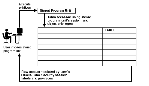 stored program unit execution