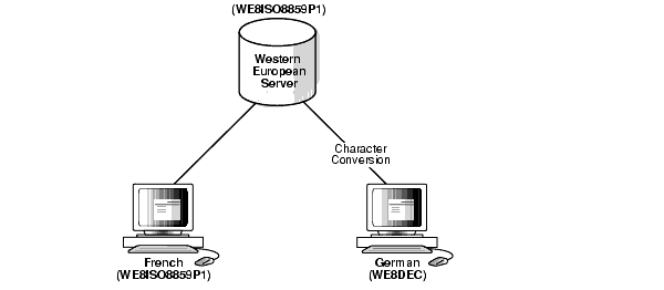 Description of nlspg028.gif follows