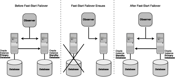 Description of fsfo.gif follows