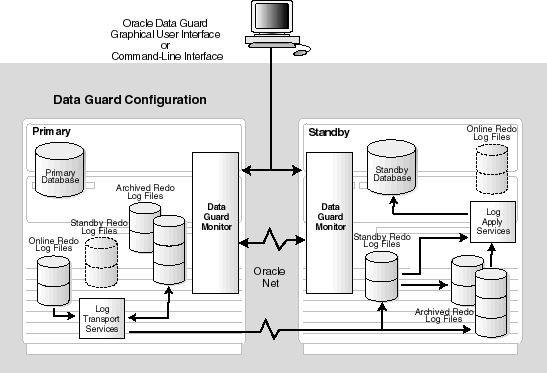 Description of odg_arch.gif follows