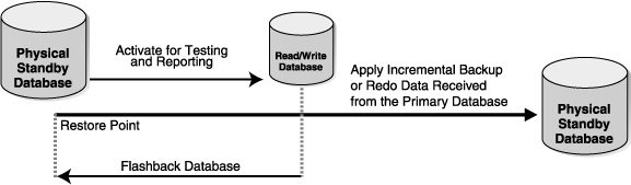 Description of readwrite_standby.gif follows