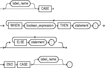 Description of searched_case_statement.gif follows