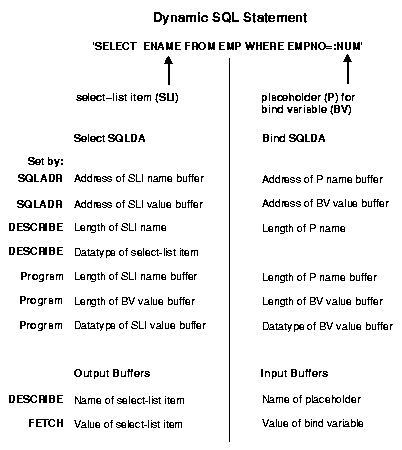 Setting Variables