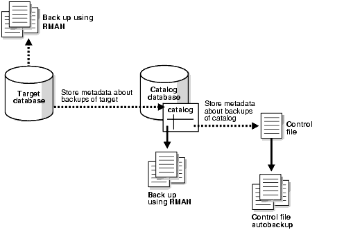 Description of Figure 12-1 follows