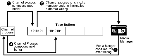 Description of Figure 21-5 follows