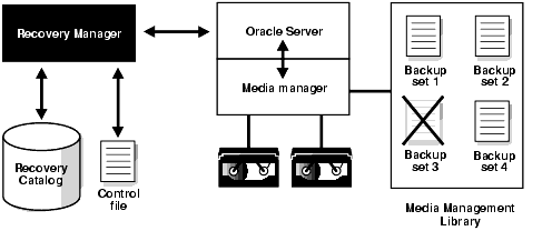 Description of Figure 11-1 follows