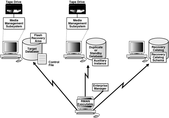 Depicts RMAN environment