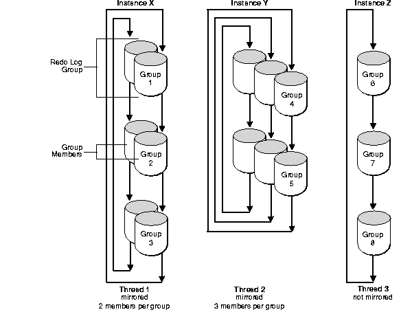 Text description of sps81036.gif follows