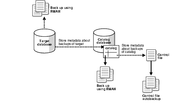 Text description of rmn81002.gif follows