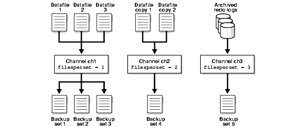 Text description of sbr81074.gif follows