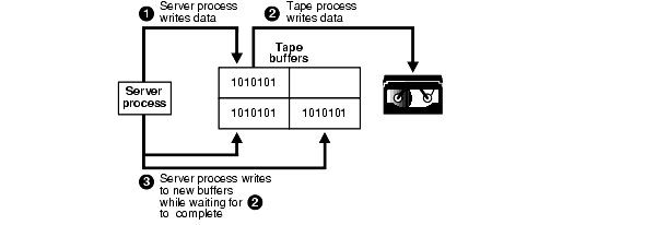 Text description of stu81175.gif follows