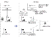 Example 3---How VVR Reads the Changed Block from the Cache Object