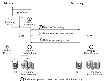 Example---How Data Flows in the Synchronous Mode of Replication