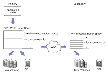 How VVR Uses Buffers Between the Primary and Secondary