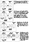 Examples of Disk Groups That Can and Cannot be Split