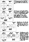 Examples of Disk Groups That Can and Cannot be Split