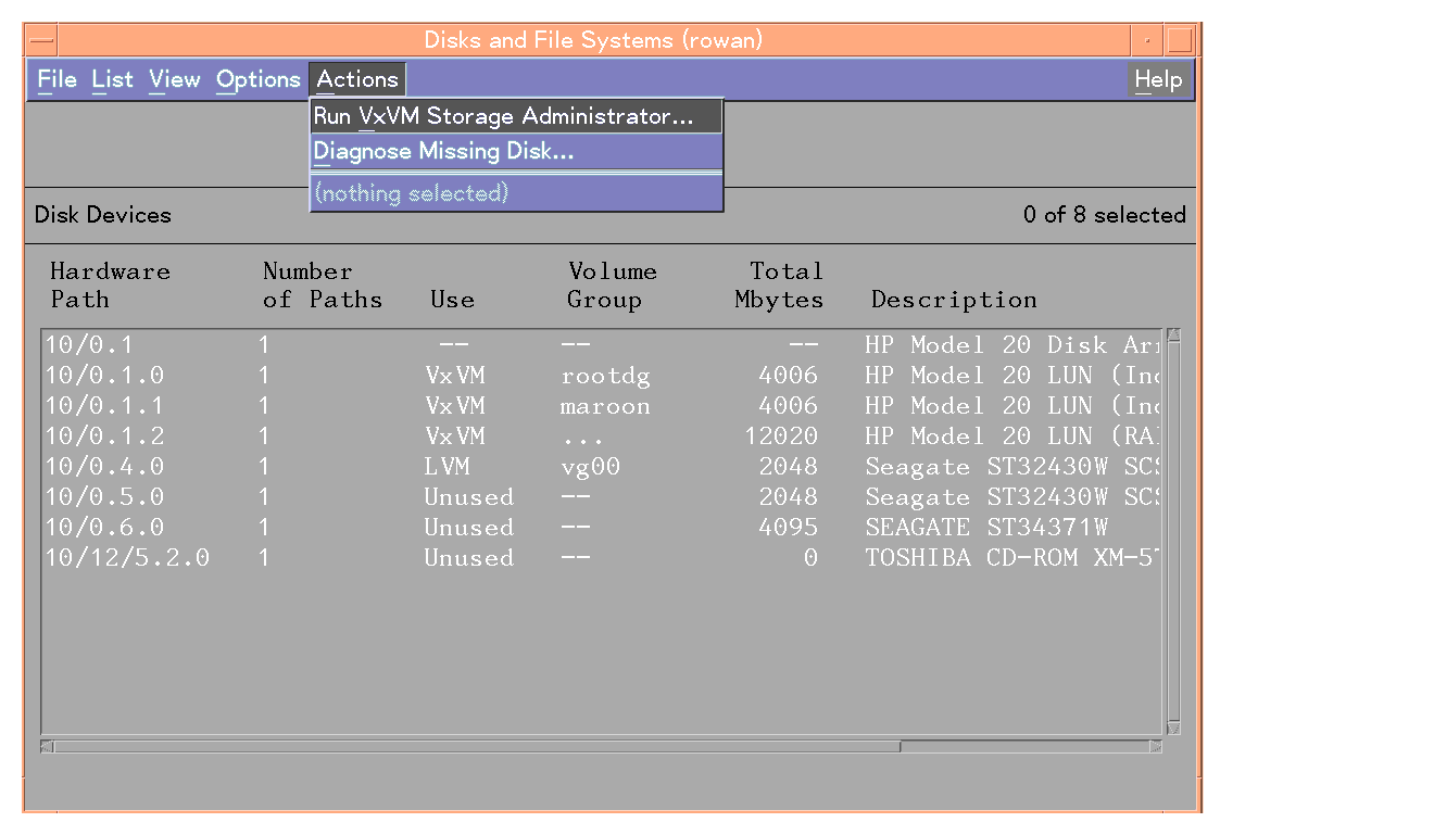 Displaying Disk Devices Using SAM