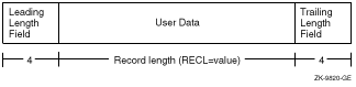 Variable-Length Records Less Than 2 Gigabytes